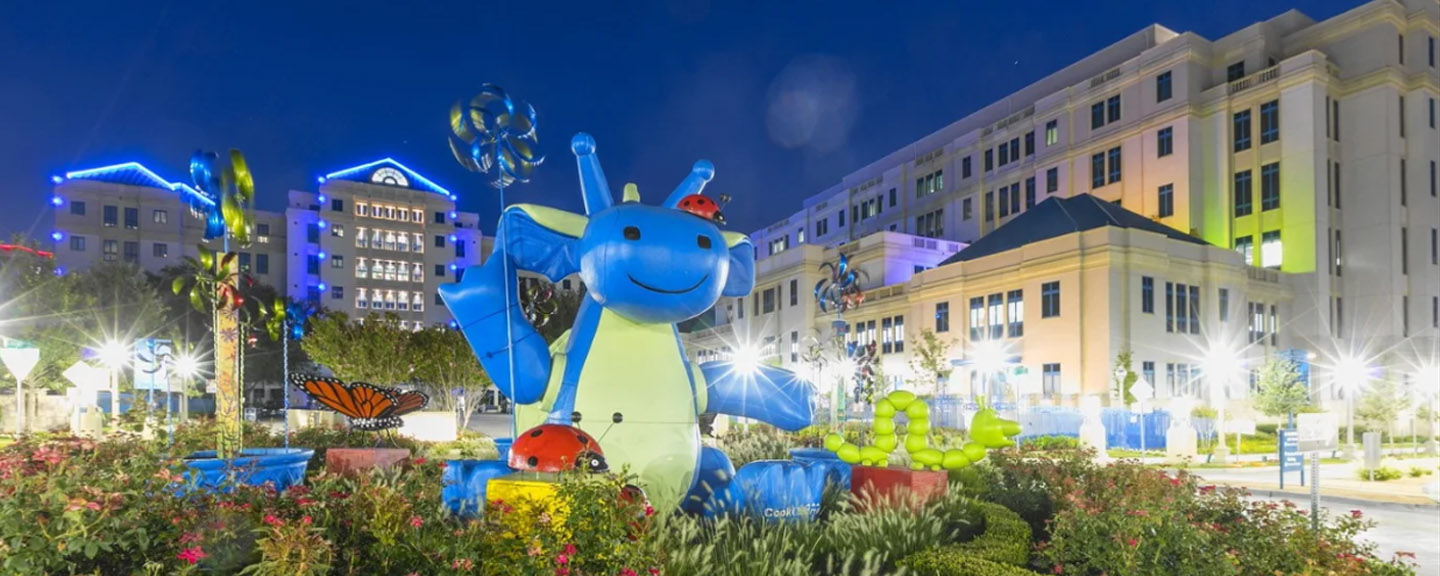 front slide 1 dragon